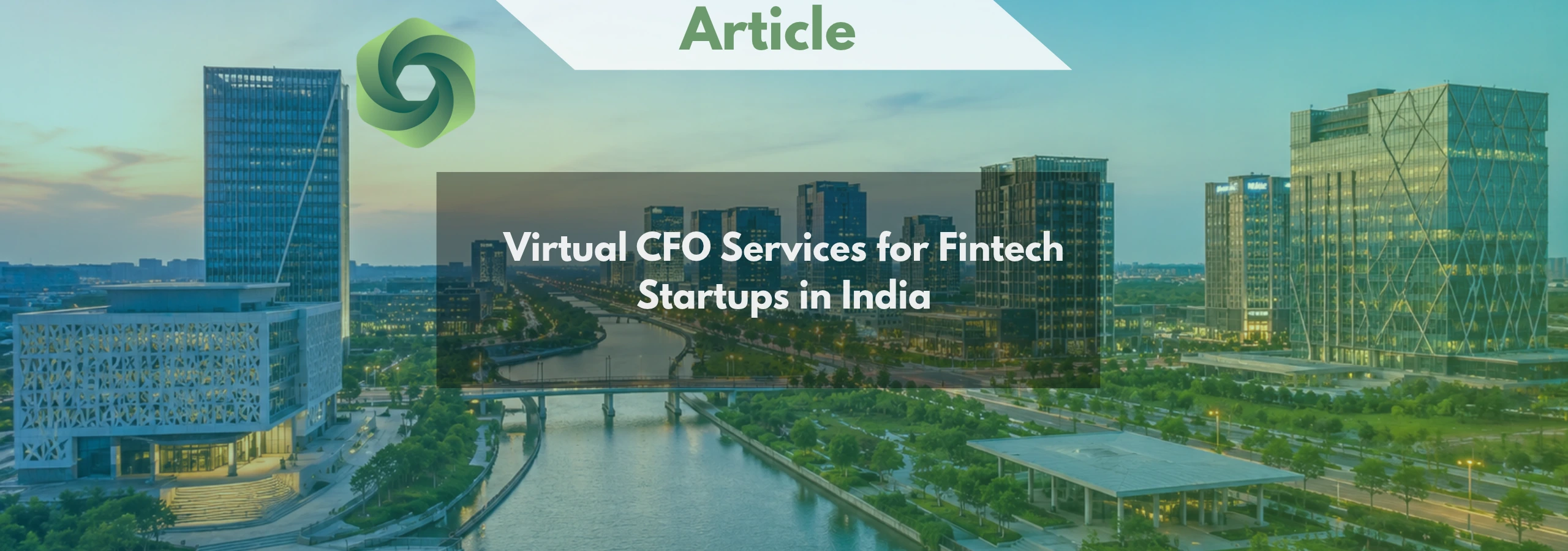Virtual CFO Services for Fintech Startups in India